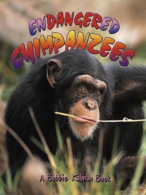 cover image of Endangered Chimpanzees